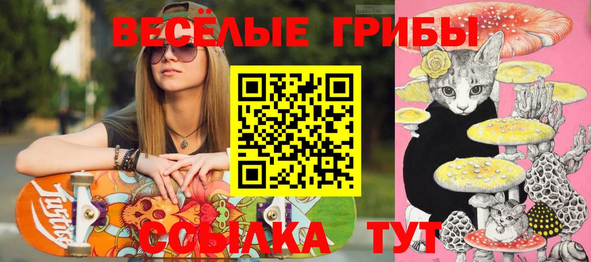 Галлюциногенные грибы мицелий Междуреченск