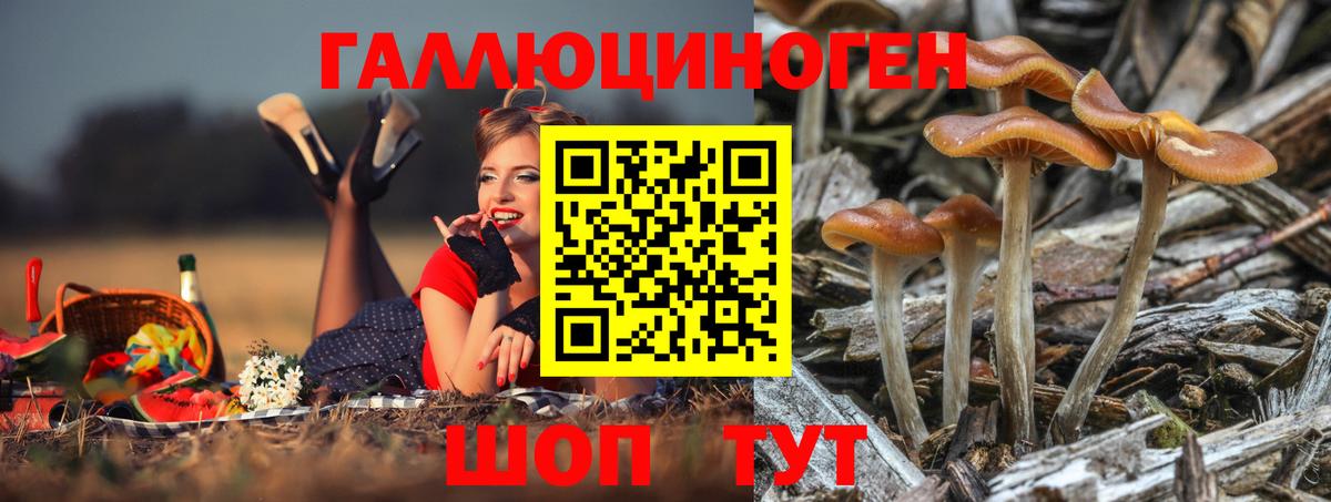 Галлюциногенные грибы мицелий  Псилоцибиновые грибы мицелий  Вход с VPN  Междуреченск 